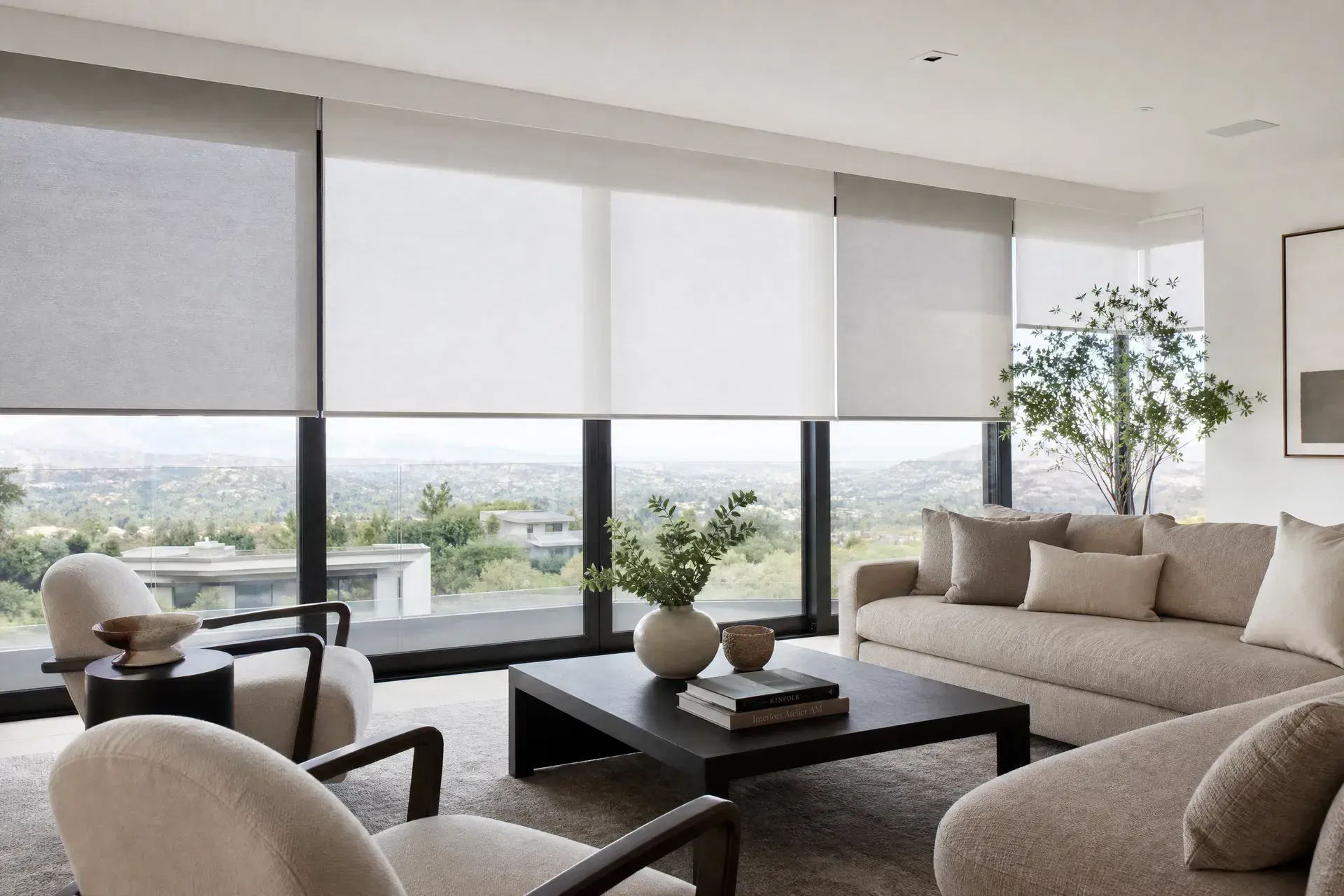 Motorized Shades