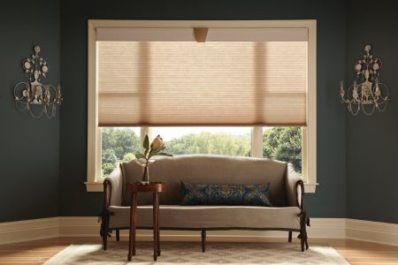 Crescent springs window treatments